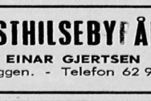 Bilde av Festhilse-Byrået v/ Einar Gjertsen